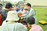 花の苗無料配布