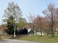 桜山公園