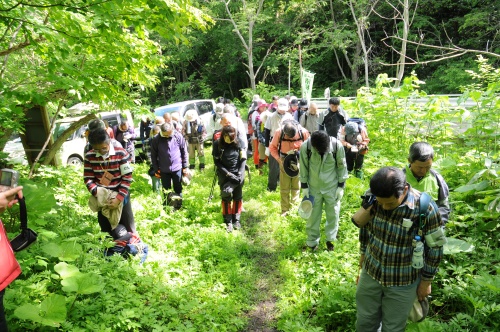 音江連山登山コース開き