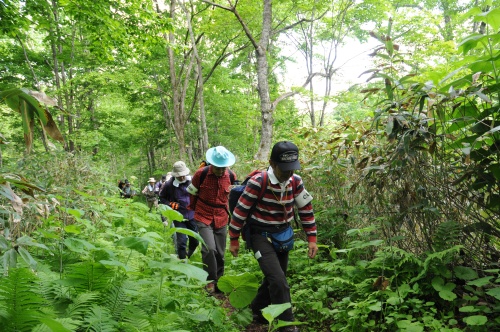 音江連山登山コース開き