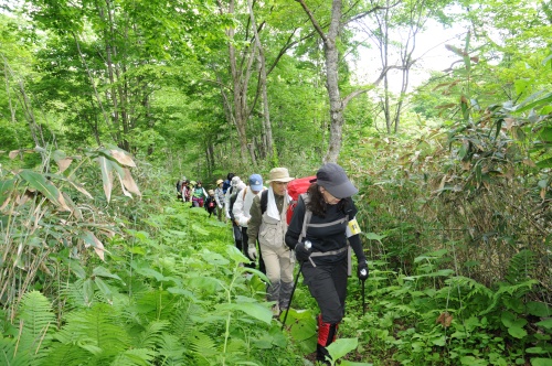 音江連山登山コース開き