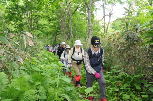 音江連山登山コース開き