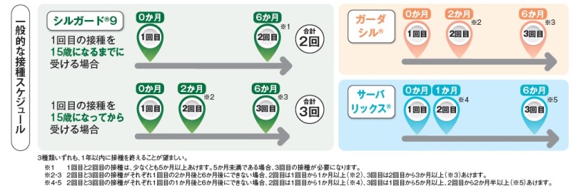 一般的な接種スケジュール