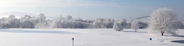 石狩川河川敷の樹氷の写真