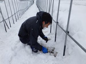 除雪を行う中村さん