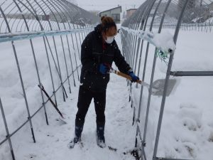 除雪を行う石井さん