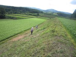 超急傾斜農地の管理状況