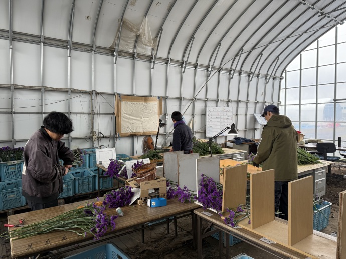 寒い中でも丁寧に、真剣に作業をしています