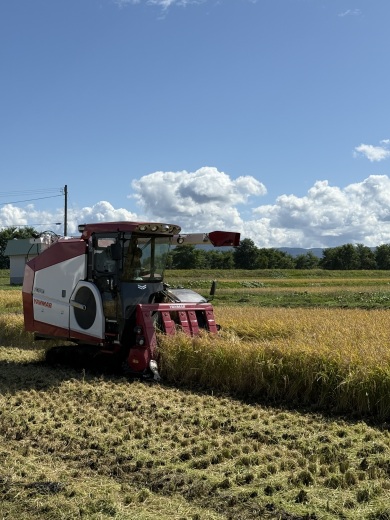 コンバインに乗り稲刈りをする大西さん