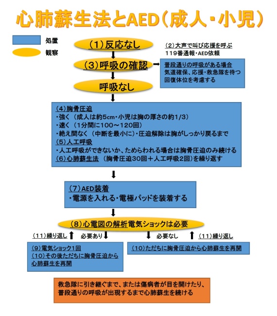 心肺蘇生法とAED(成人・小児)の図