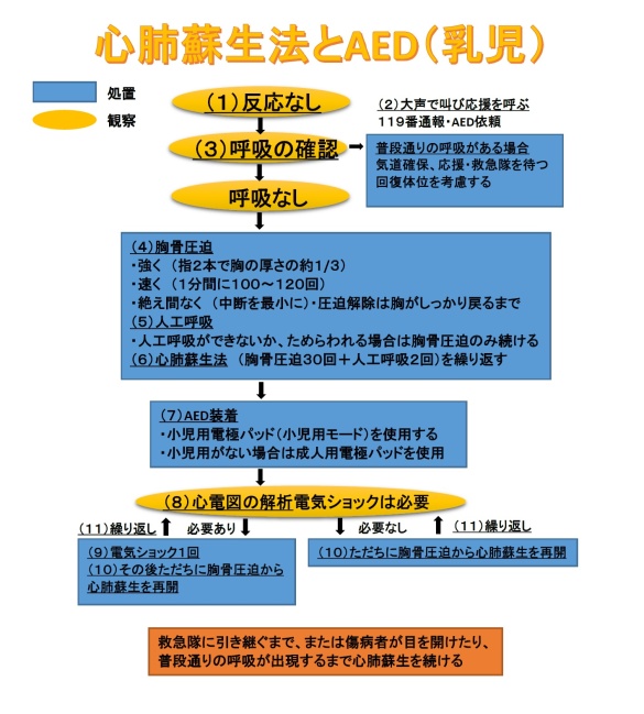 心肺蘇生法とAED（乳児）の図