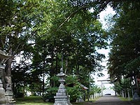 深川神社社叢の写真