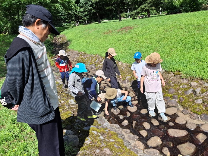 森の観察会