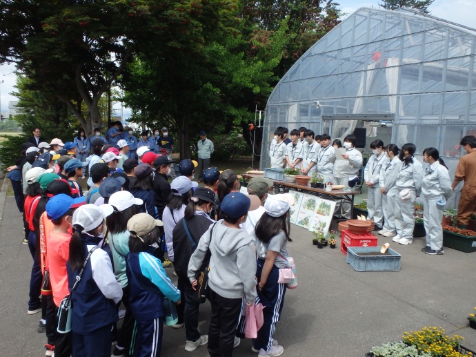 深川小学校　4年生