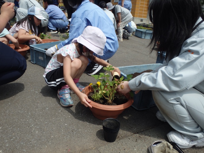 一已小学校　2年1組、納内小学校　3年生と4年生、音江小学校　2年生