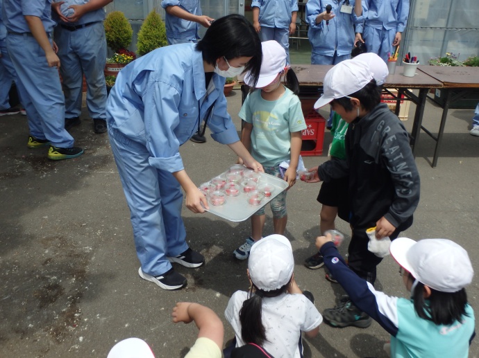 一已小学校　2年1組、納内小学校　3年生と4年生、音江小学校　2年生