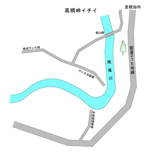 高橋峠イチイの位置図