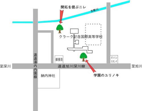 学園のユリノキの位置図