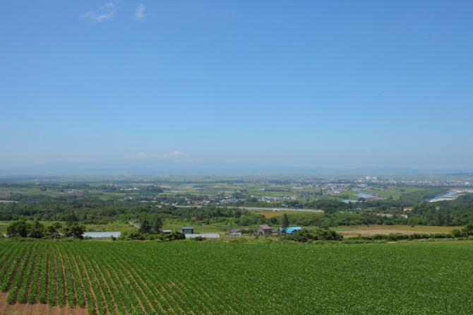 深川の景色