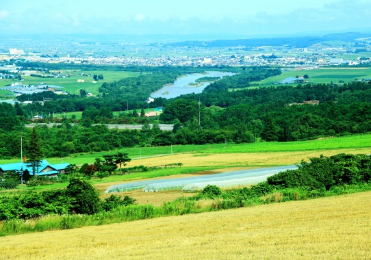 深川市の丘