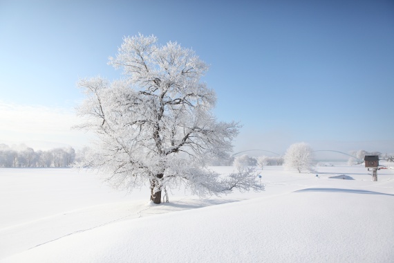 雪景色の写真