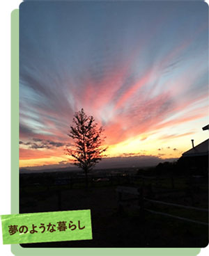 夕焼けの写真