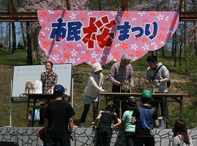 市民桜まつりの写真