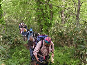 登山の様子の写真