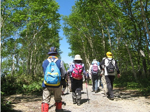 登山の様子の写真