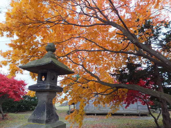 芽生神社