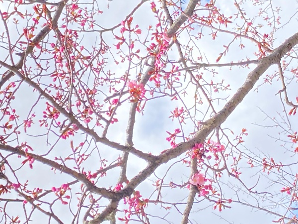 令和4年4月28日（木曜日）