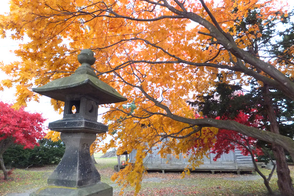 境内の紅葉と石碑の写真