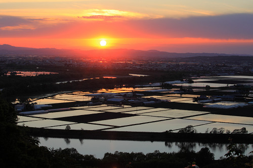 田植えを待つ