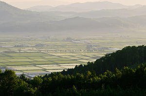 田園の朝