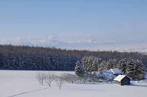 雪景色