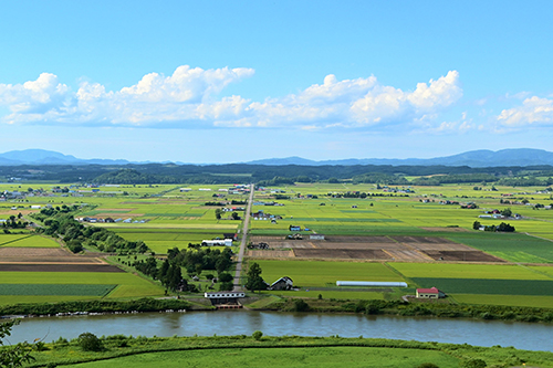 初夏の田園風景