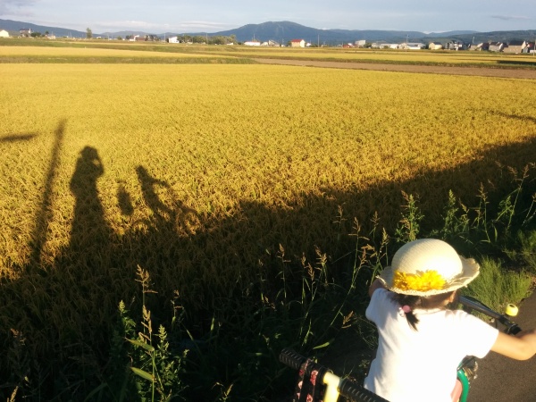 深川の好きな景気