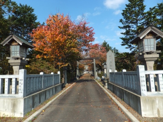 鳥居へと向かう道の写真